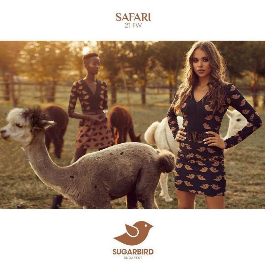 Safari Kollection. Sugarbird (2021-11-03-2021-11-03)