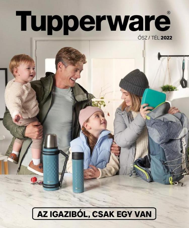 Tupperware akciós. Tupperware (2022-10-31-2022-10-31)