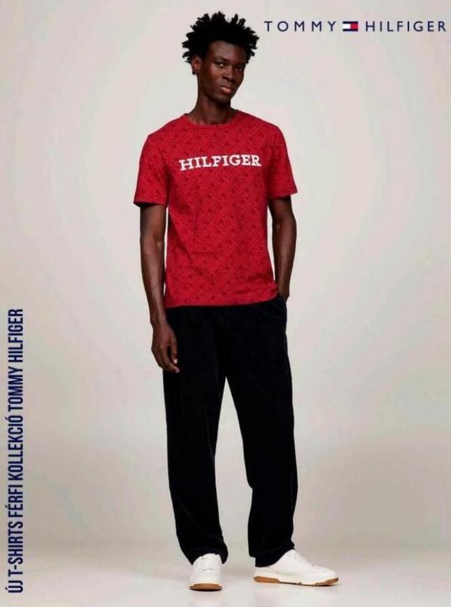Új T-shirts férfi kollekció Tommy Hilfiger. Tommy Hilfiger (2023-11-22-2023-11-22)