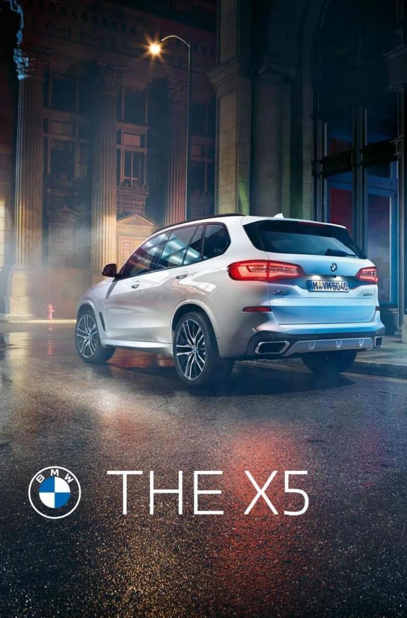 BMW X5. BMW (2024-11-14-2024-11-14)